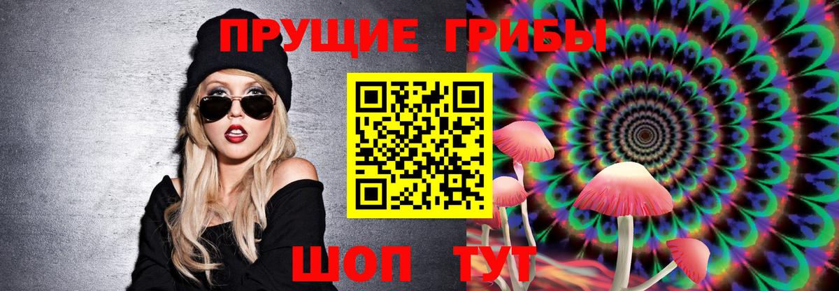 Псилоцибиновые грибы GOLDEN TEACHER Михайловка